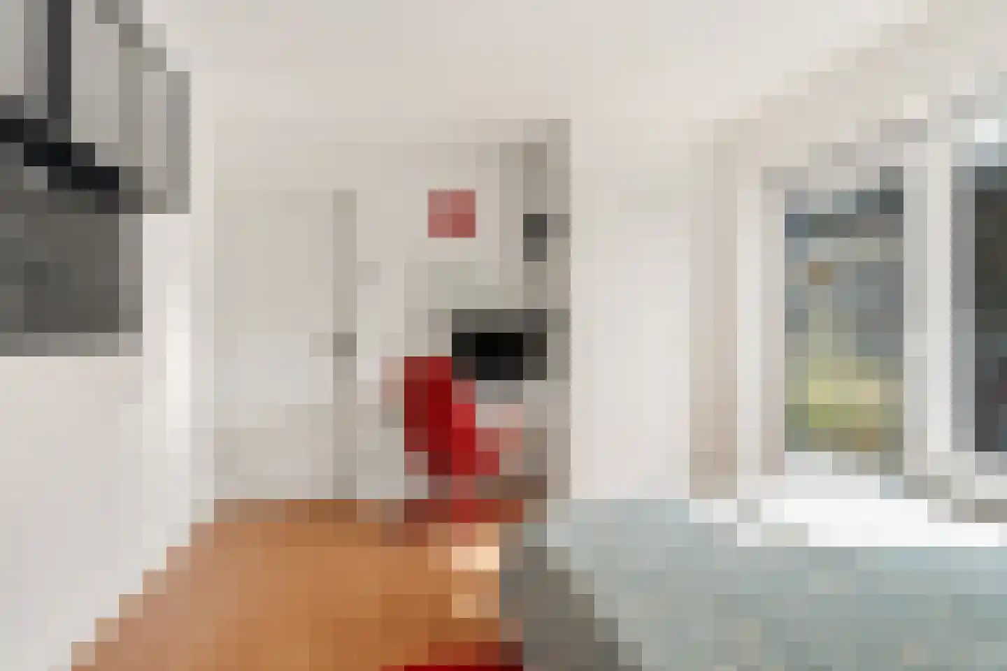 Cremerstraat 1 Voorburg thumbnail 45