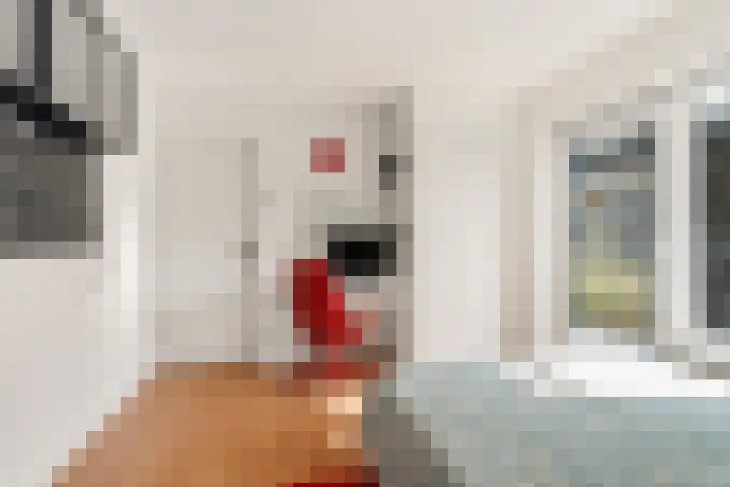 Cremerstraat 1 Voorburg thumbnail 45