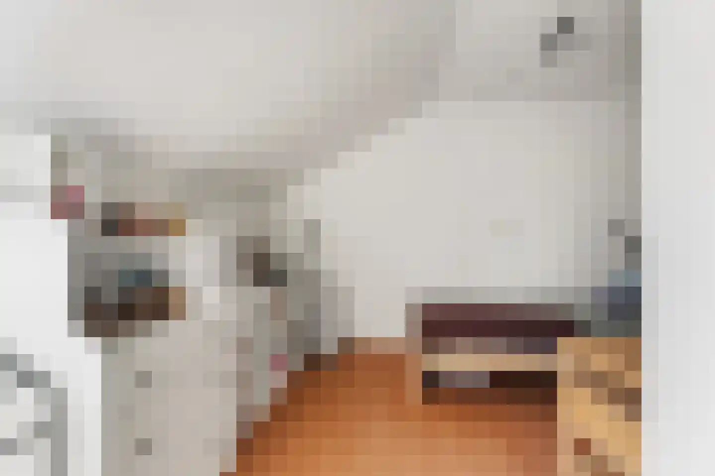 Cremerstraat 1 Voorburg thumbnail 61
