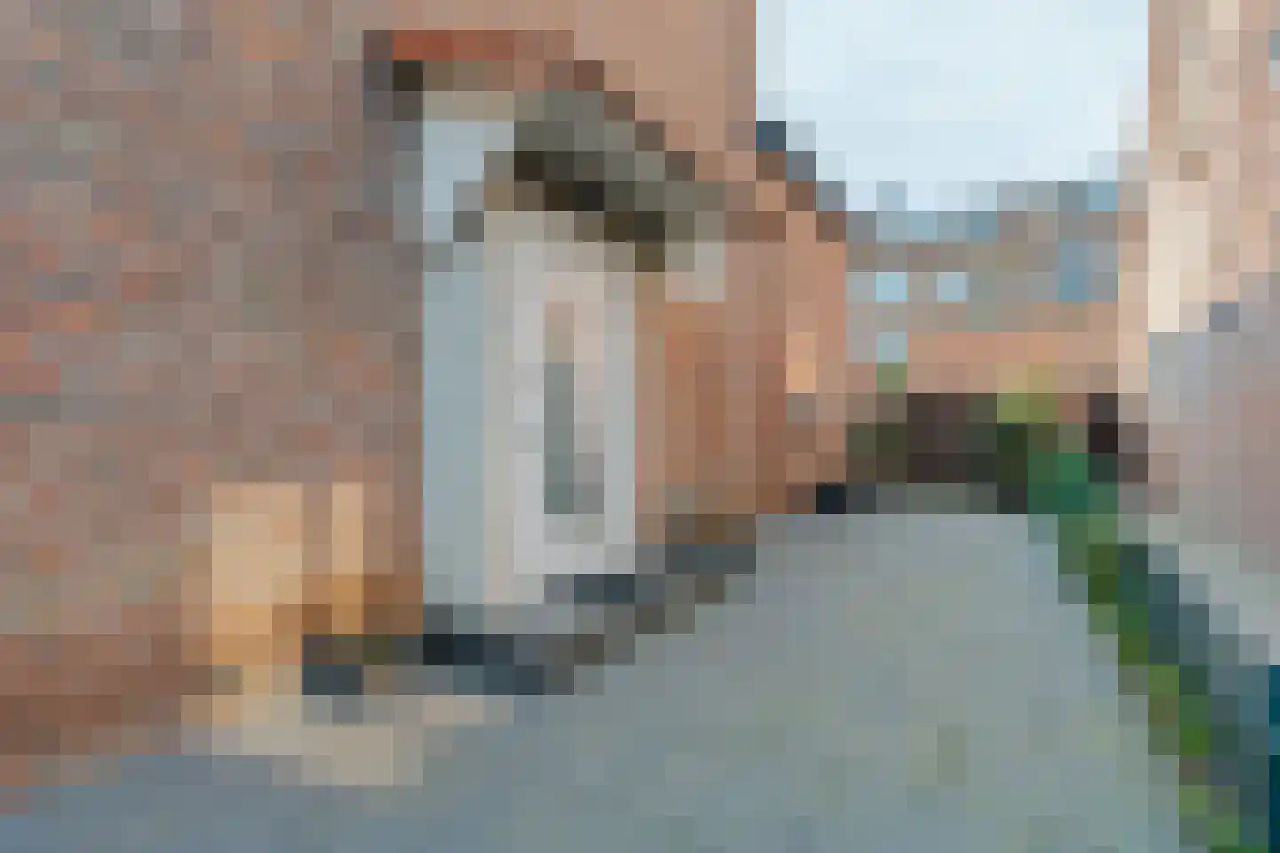 Cremerstraat 1 Voorburg thumbnail 9