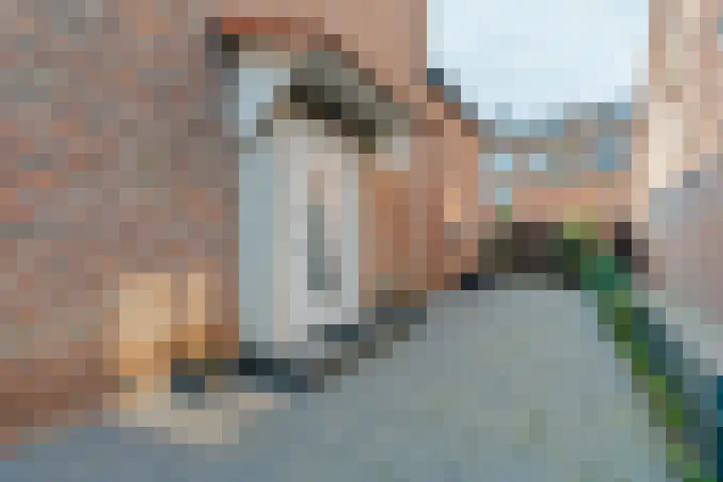 Cremerstraat 1 Voorburg thumbnail 9