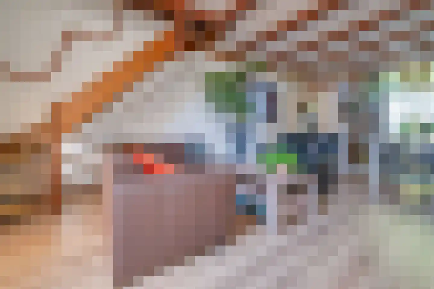 Cremerstraat 116 Utrecht thumbnail 10