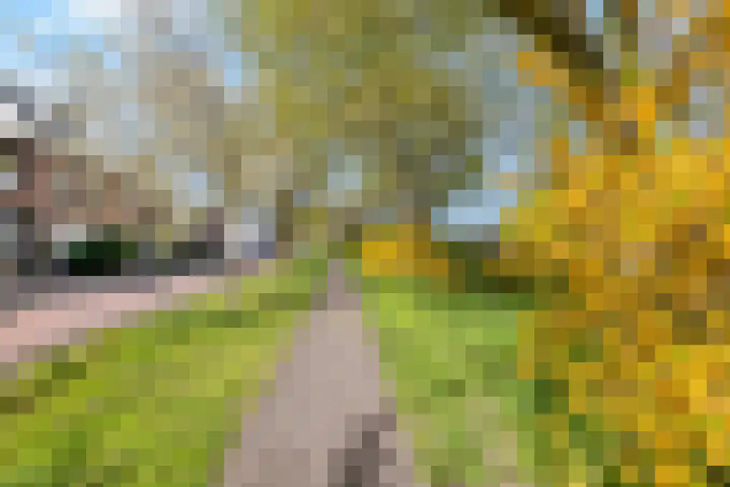 Cremerstraat 124 Utrecht thumbnail 6