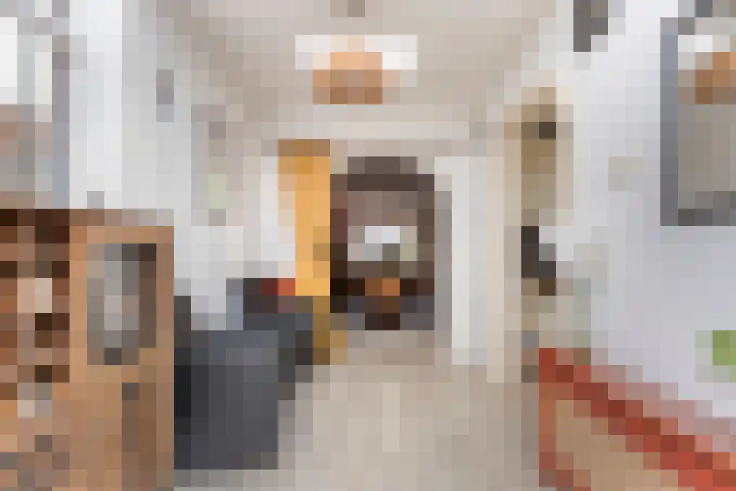 Cremerstraat 125 Pernis Rotterdam thumbnail 11