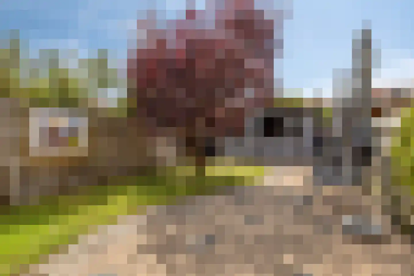 Cremerstraat 125 Pernis Rotterdam thumbnail 24