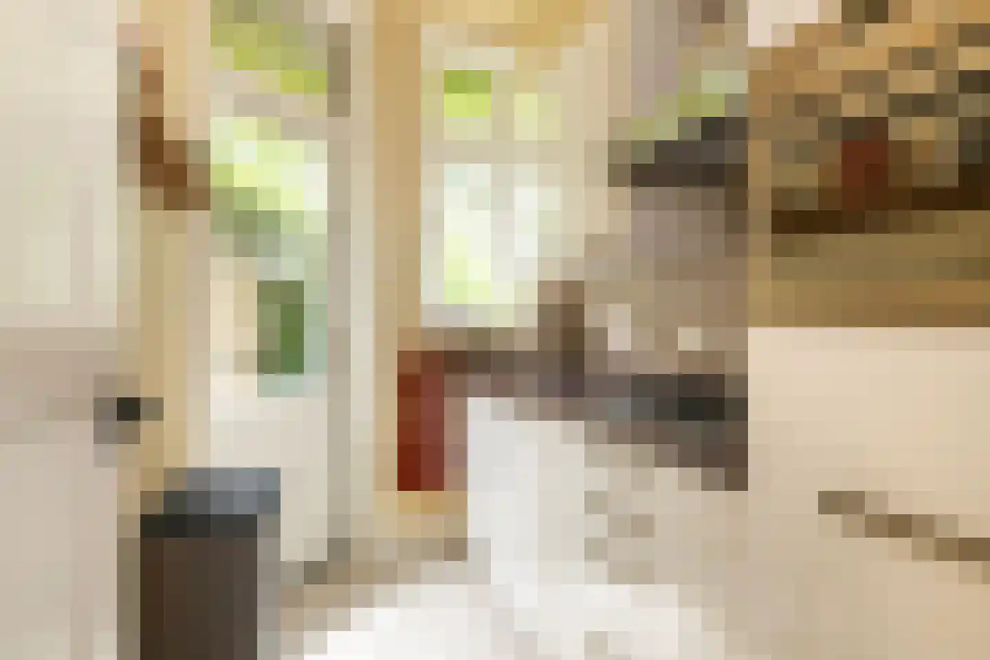 Cremerstraat 156 Utrecht thumbnail 19