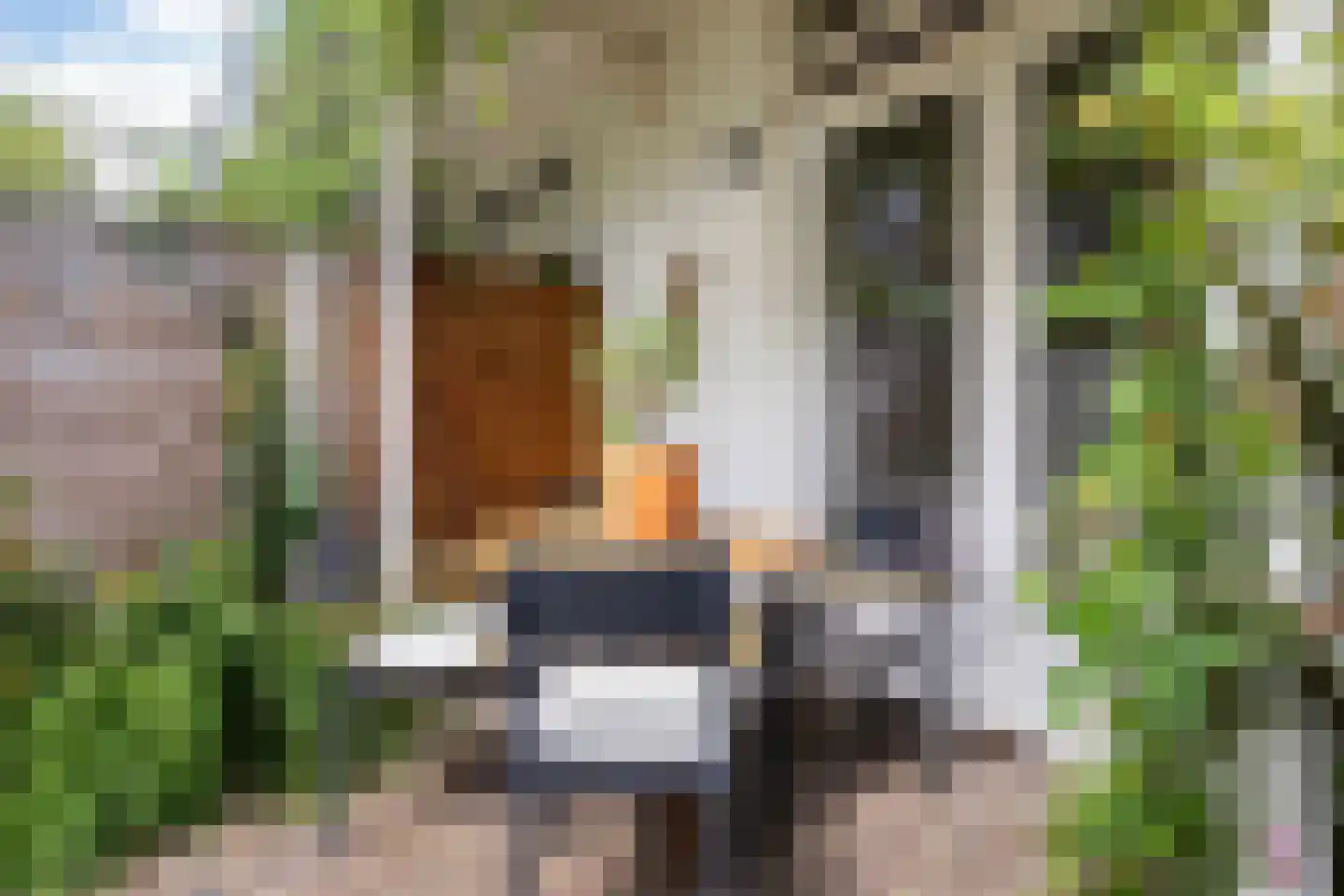 Cremerstraat 156 Utrecht thumbnail 32