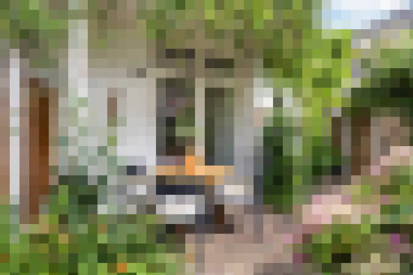 Cremerstraat 156 Utrecht thumbnail 33