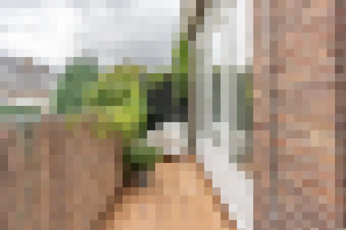 Cremerstraat 162 Utrecht thumbnail 33