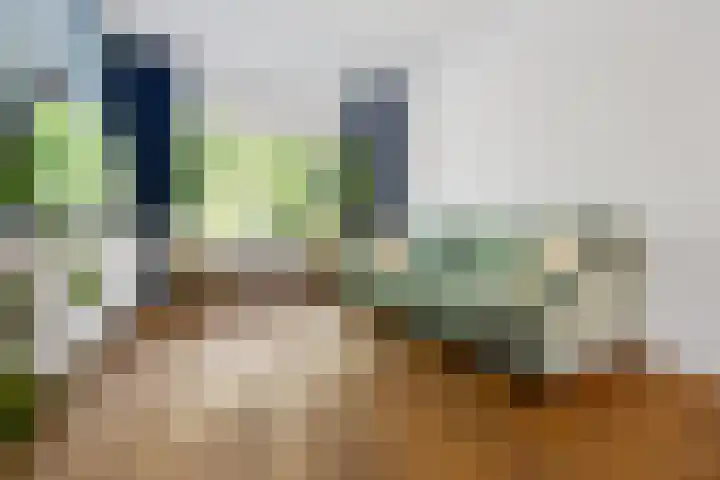 Cremerstraat 224 Utrecht thumbnail 8