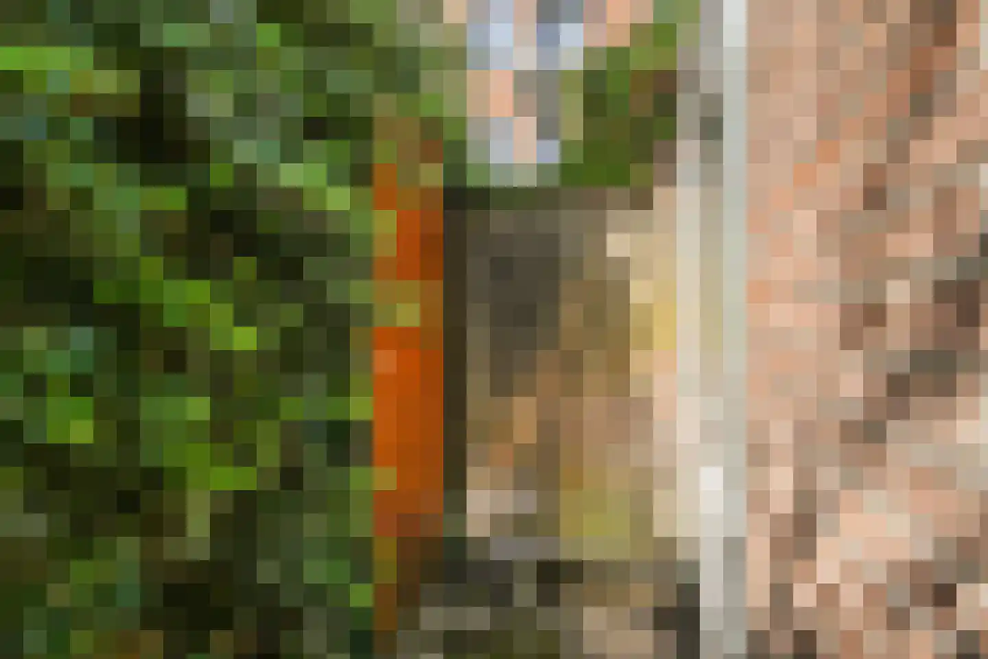 Cremerstraat 23 Voorburg thumbnail 15