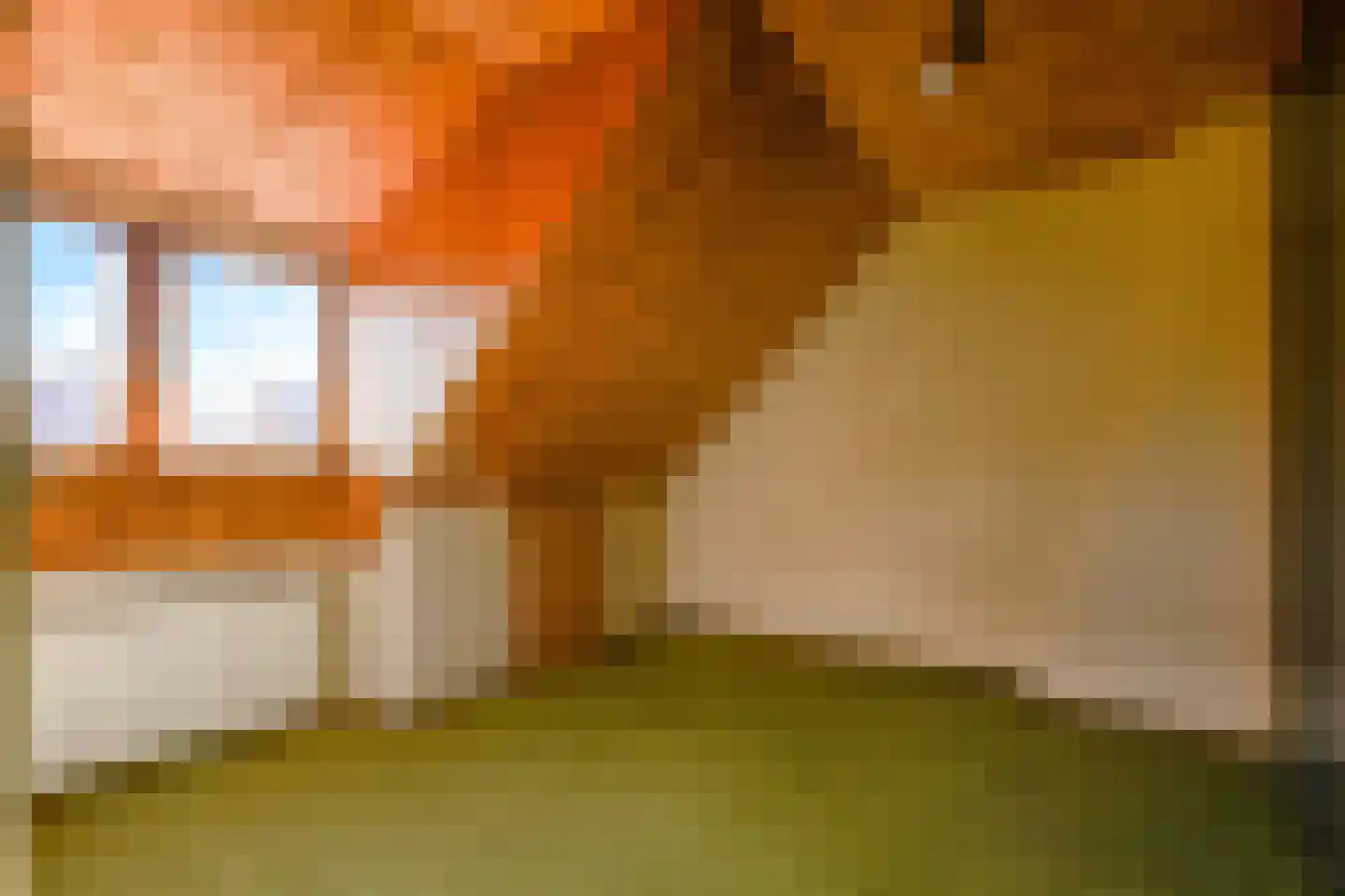 Cremerstraat 23 Voorburg thumbnail 32