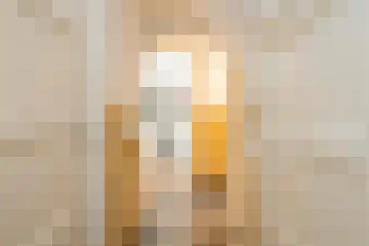 Cremerstraat 264 Utrecht thumbnail 9