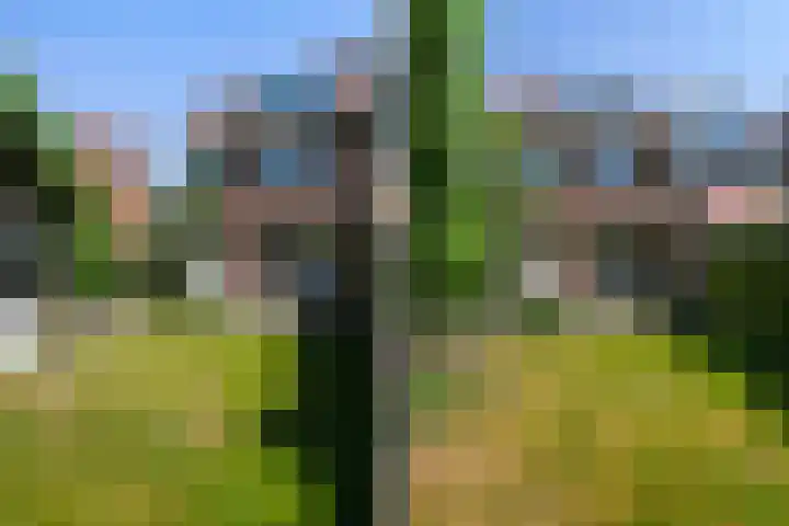 Cremerstraat 27 Voorburg thumbnail 23