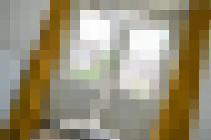 Cremerstraat 27 Voorburg thumbnail 33