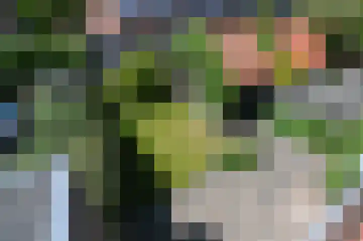 Cremerstraat 27 Voorburg thumbnail 35