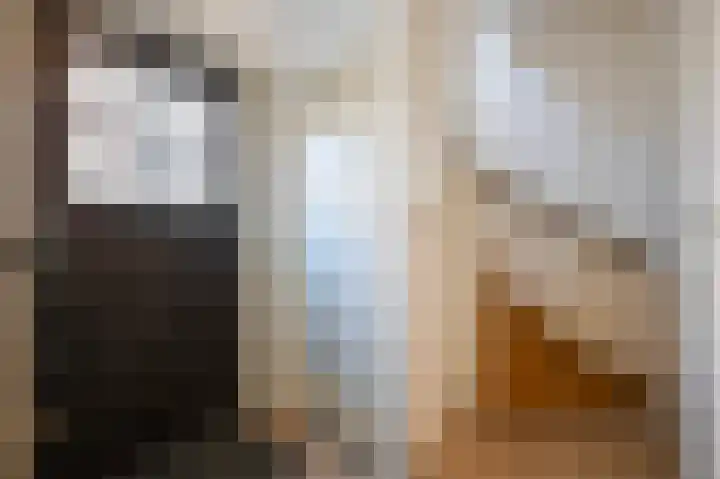 Cremerstraat 27 Voorburg thumbnail 4