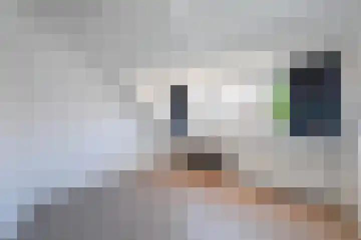 Cremerstraat 27 Voorburg thumbnail 50