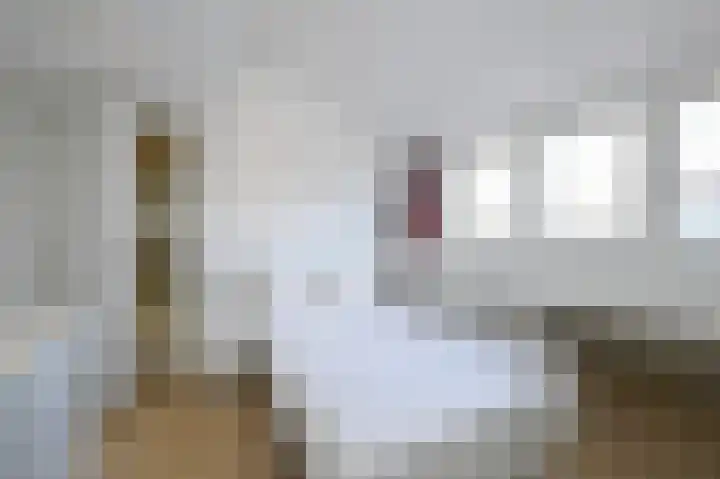 Cremerstraat 27 Voorburg thumbnail 51