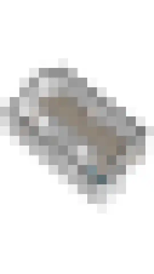 Cremerstraat 27 Voorburg thumbnail 64