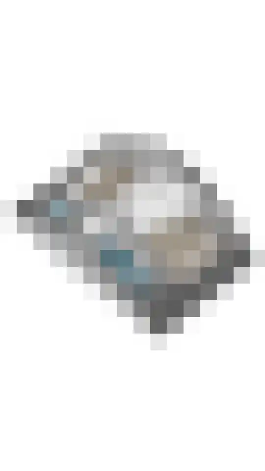 Cremerstraat 27 Voorburg thumbnail 69