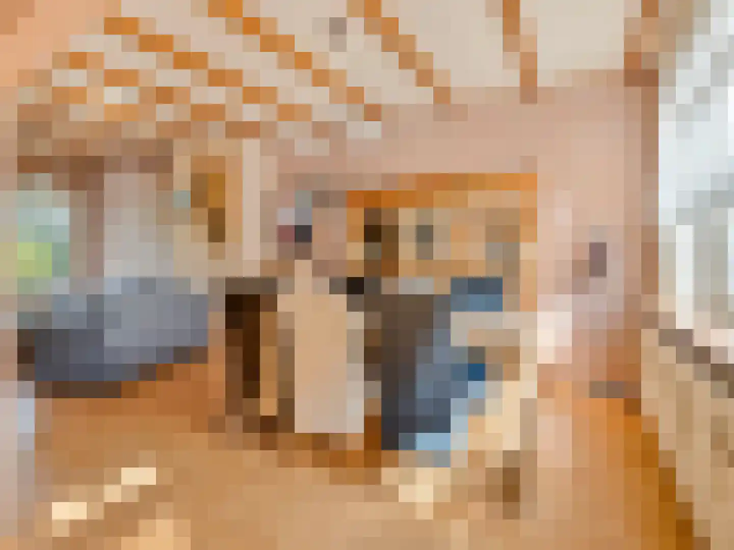 Cremerstraat 282 Utrecht thumbnail 9