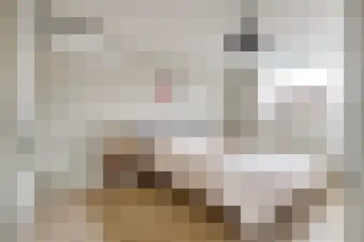 Cremerstraat 286 Utrecht thumbnail 22