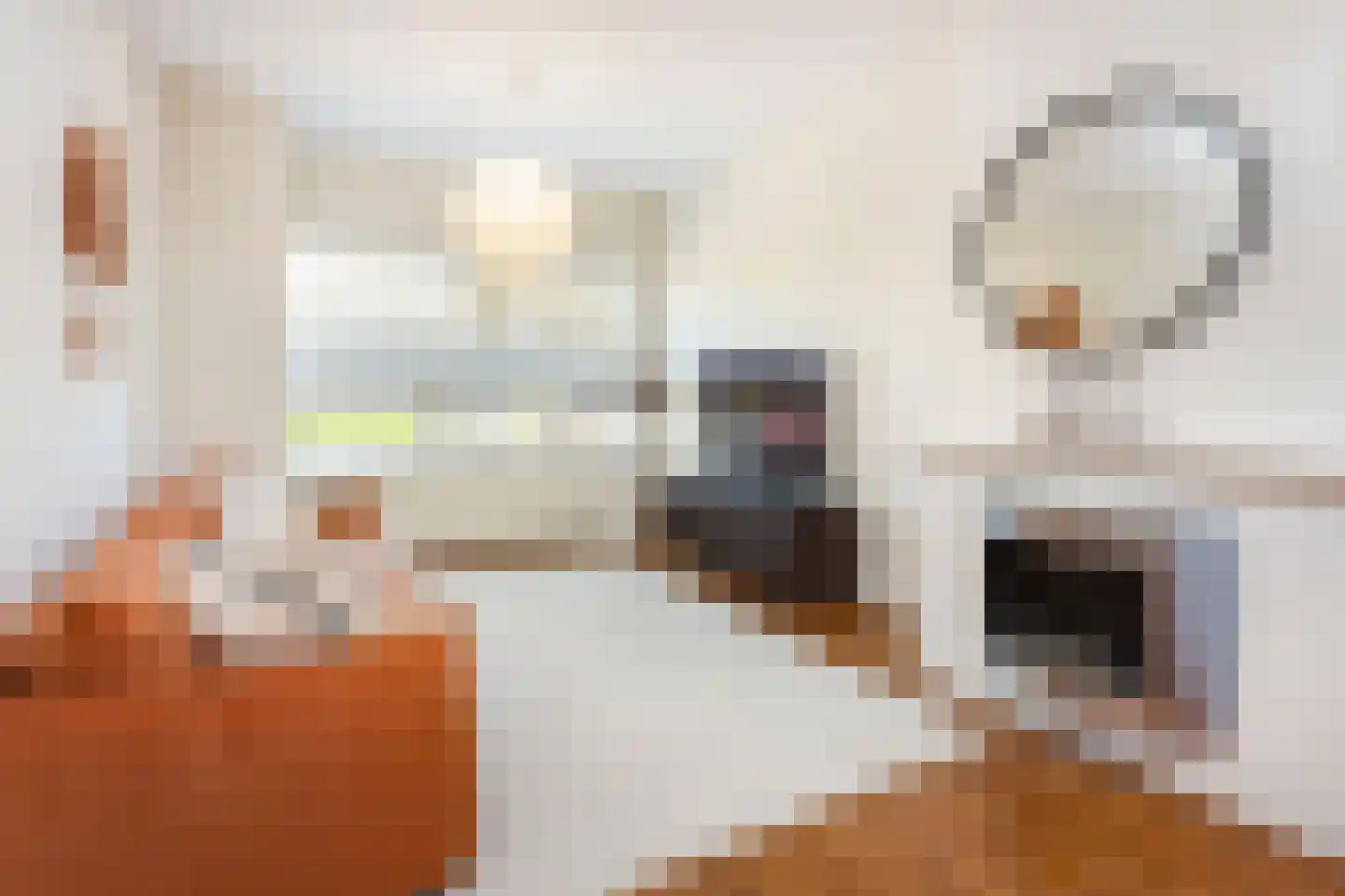 Cremerstraat 352 Utrecht thumbnail 11
