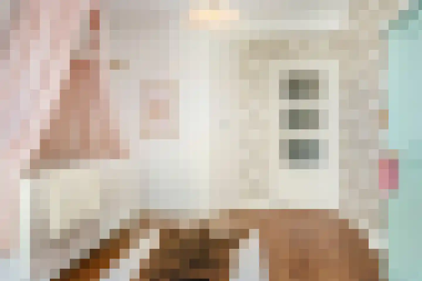 Cremerstraat 352 Utrecht thumbnail 32