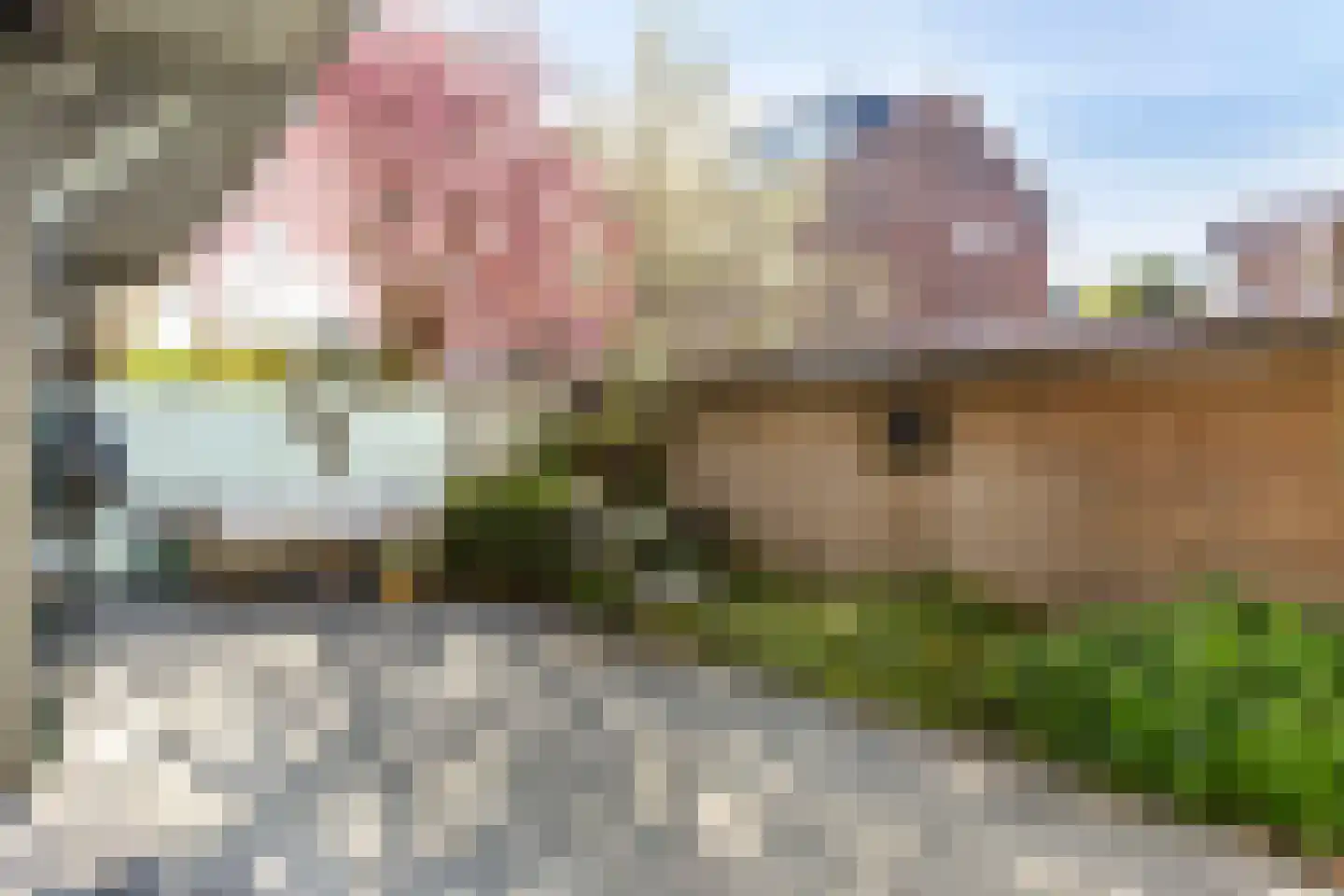Cremerstraat 352 Utrecht thumbnail 38
