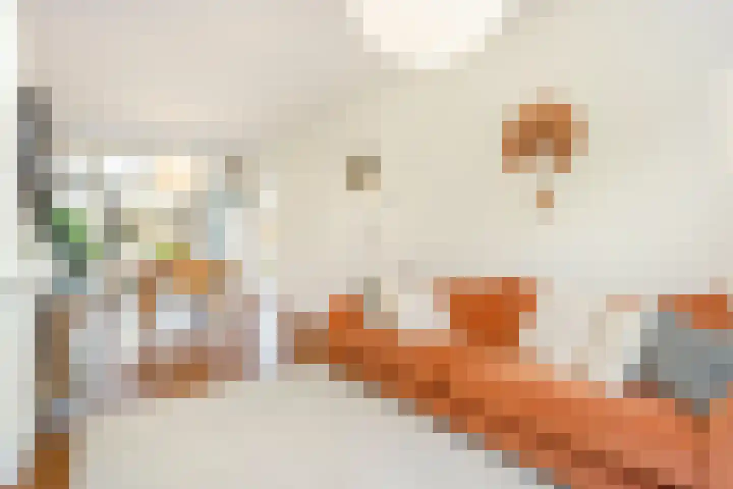 Cremerstraat 352 Utrecht thumbnail 6