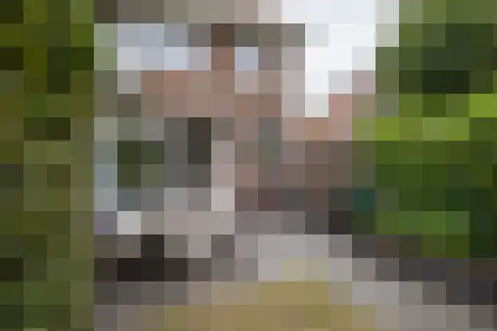 Cremerstraat 396 Utrecht thumbnail 38