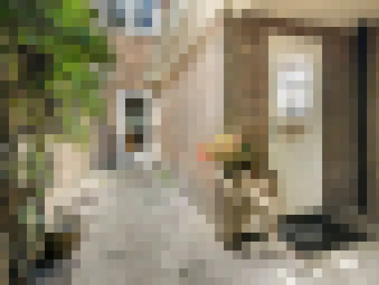 Cremerstraat 434 Utrecht thumbnail 15