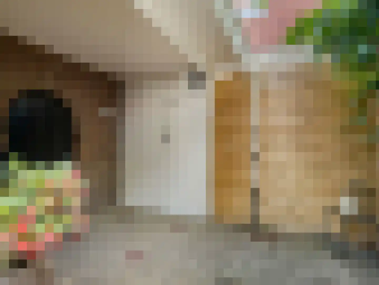 Cremerstraat 434 Utrecht thumbnail 16