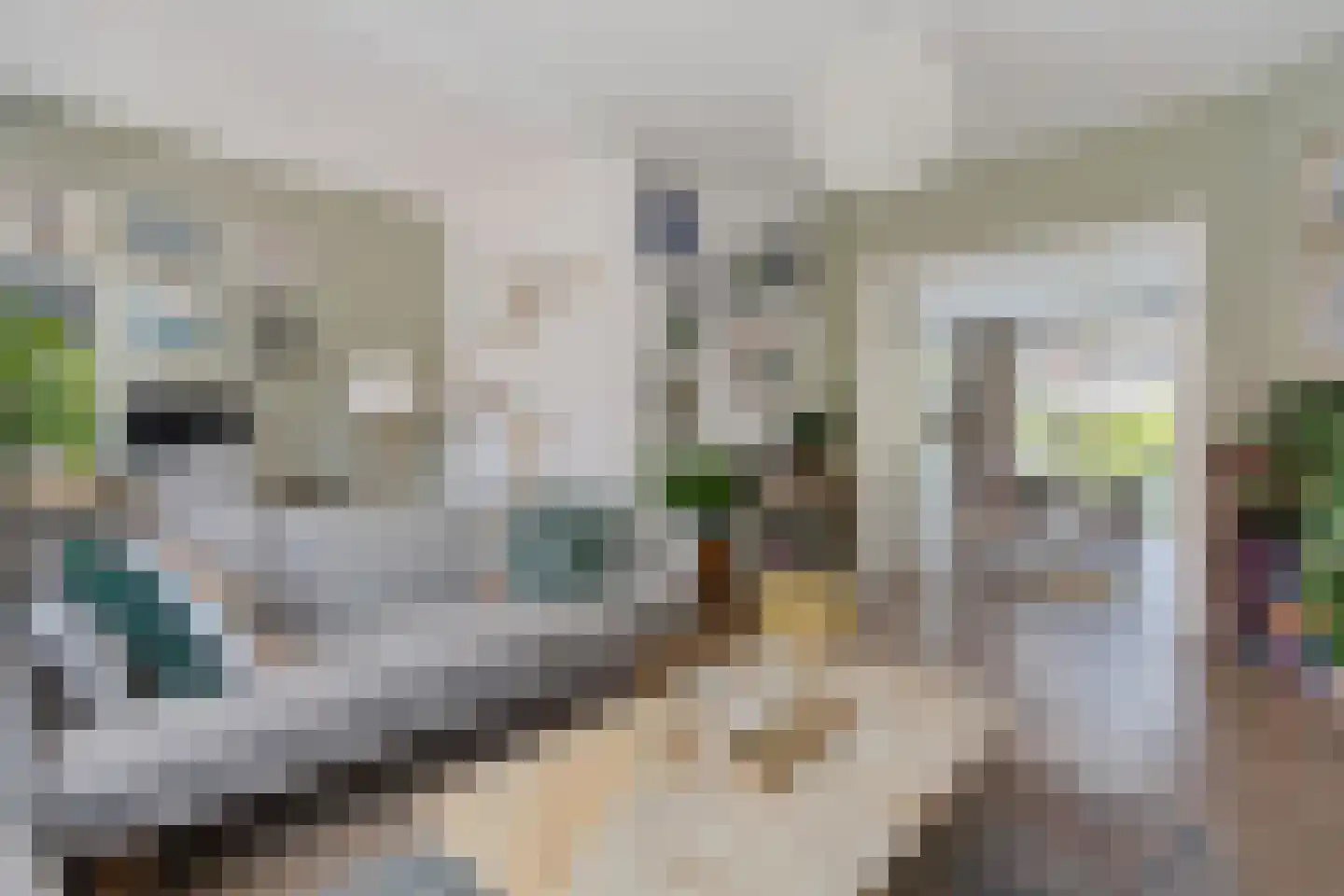 Cremerstraat 51 Haarlem thumbnail 11