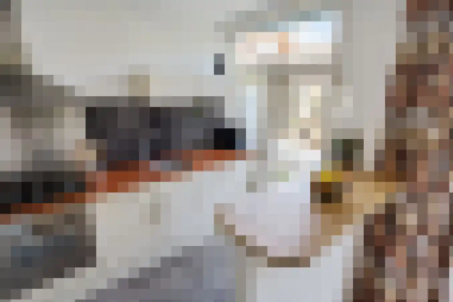 Cremerstraat 51 Haarlem thumbnail 20