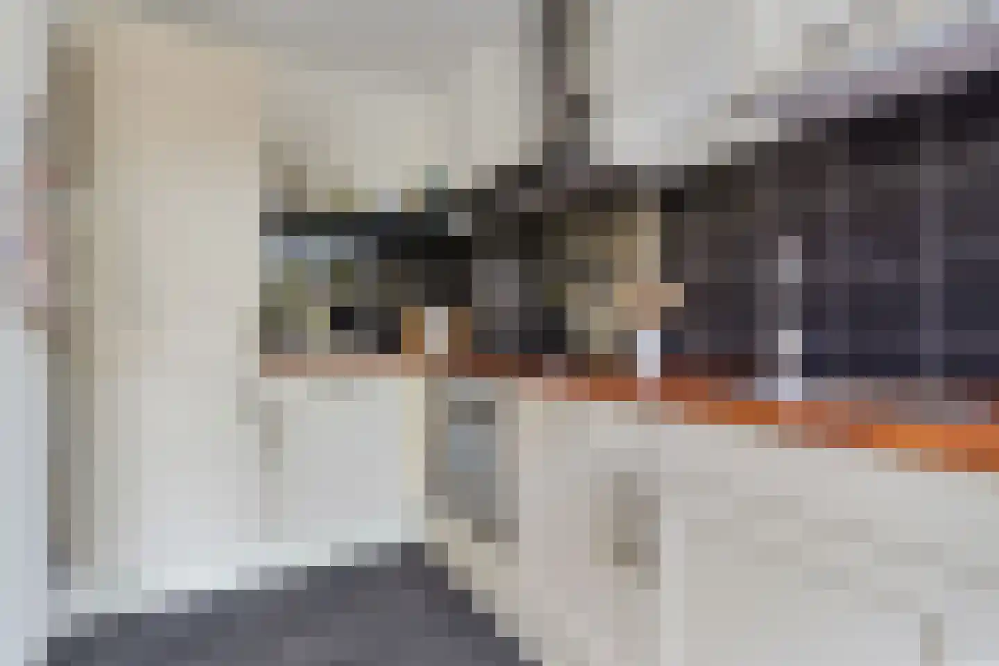 Cremerstraat 51 Haarlem thumbnail 21