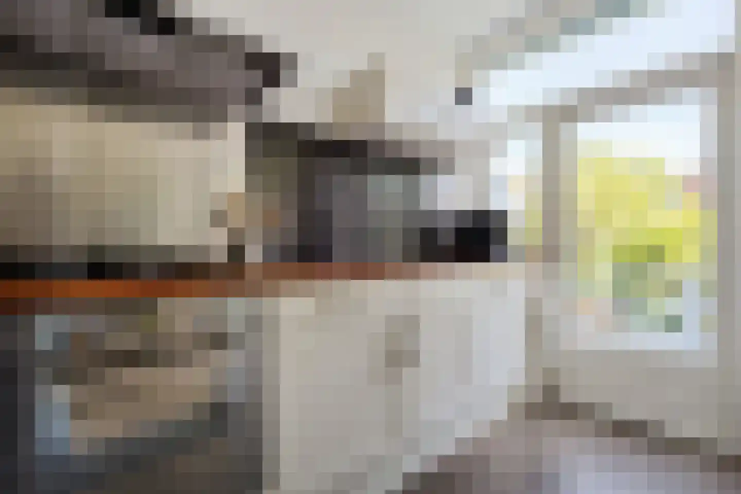 Cremerstraat 51 Haarlem thumbnail 22