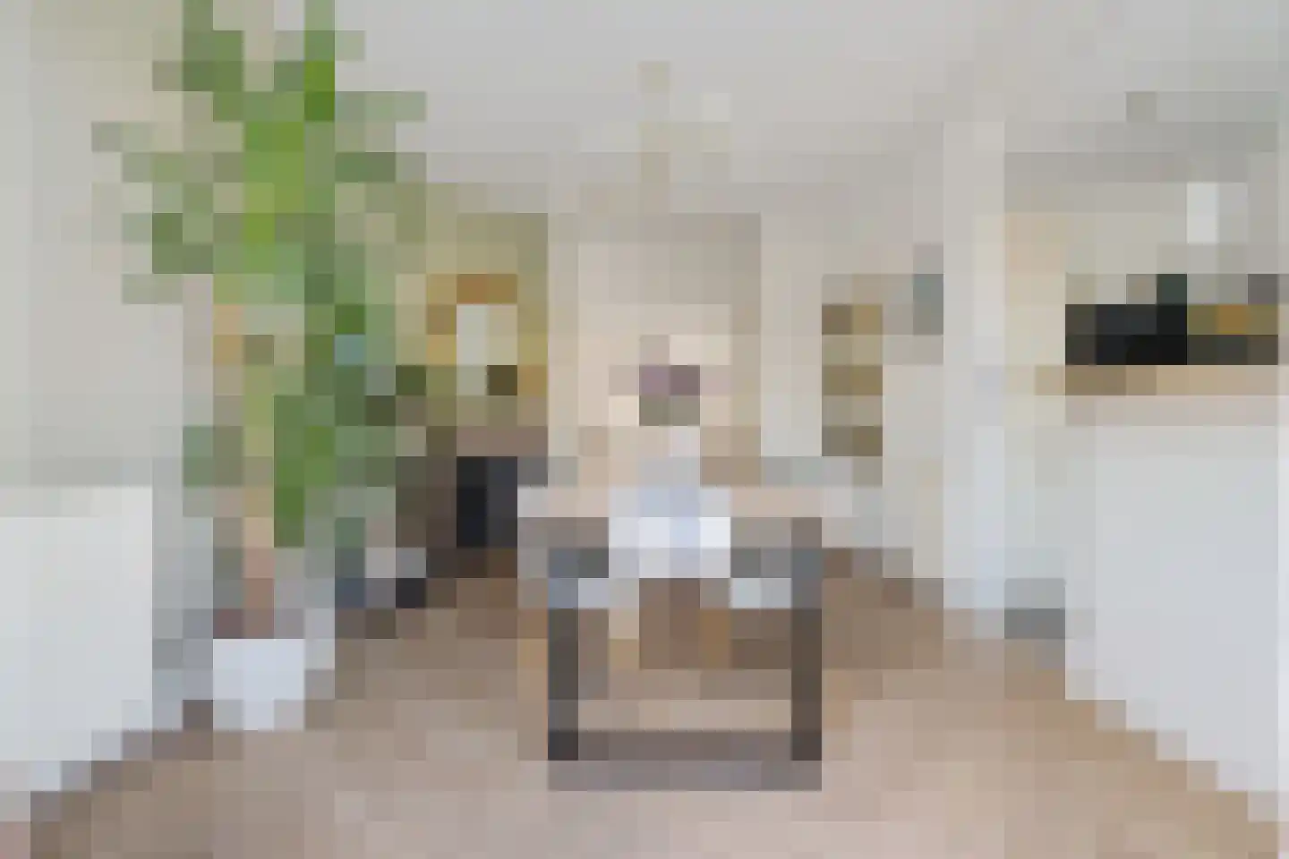 Cremerstraat 51 Haarlem thumbnail 25