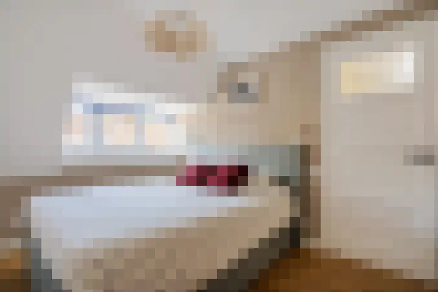 Cremerstraat 51 Haarlem thumbnail 30