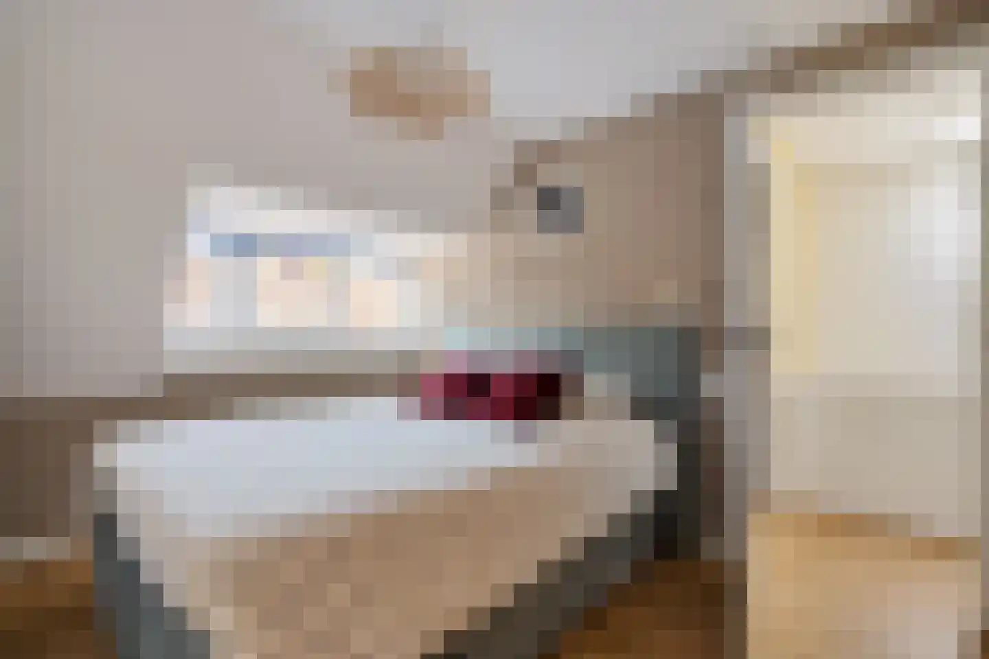 Cremerstraat 51 Haarlem thumbnail 31