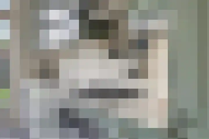 Cremerstraat 58 Driel thumbnail 23