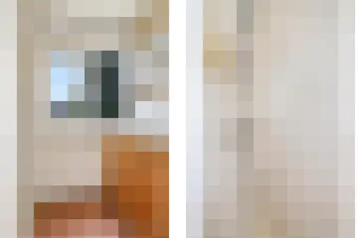Cremerstraat 58 Driel thumbnail 34