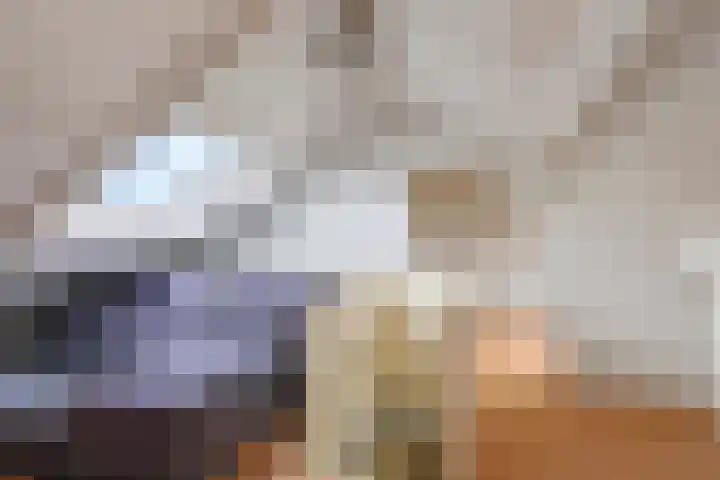 Cremerstraat 58 Driel thumbnail 42