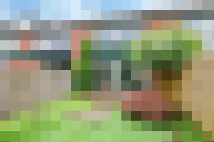 Cremerstraat 58 Driel thumbnail 47