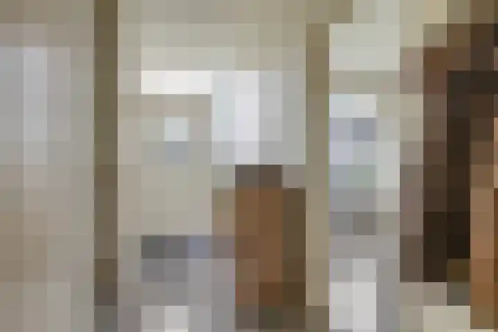 Cremerstraat 58 Driel thumbnail 9