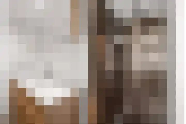 Cremerstraat 60 Utrecht thumbnail 22