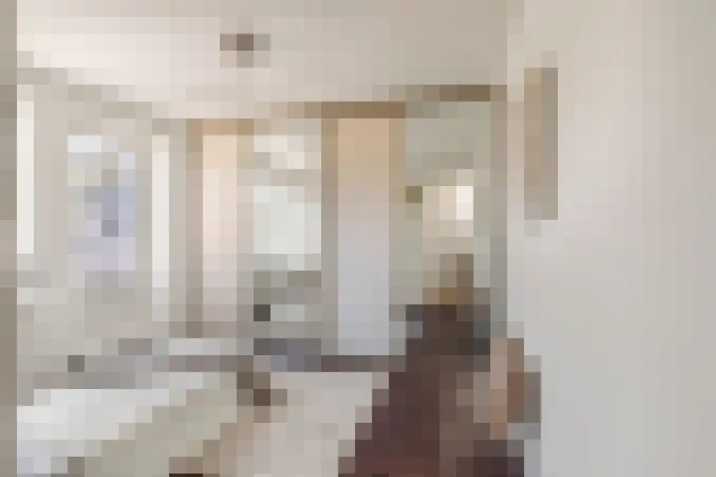 Cremerstraat 61 Haarlem thumbnail 29