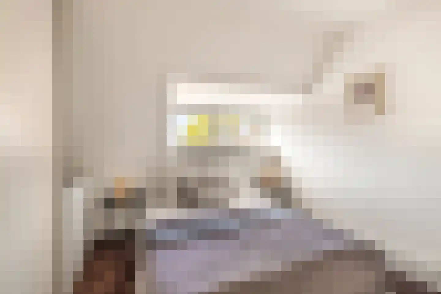 Cremerstraat 61 Haarlem thumbnail 36