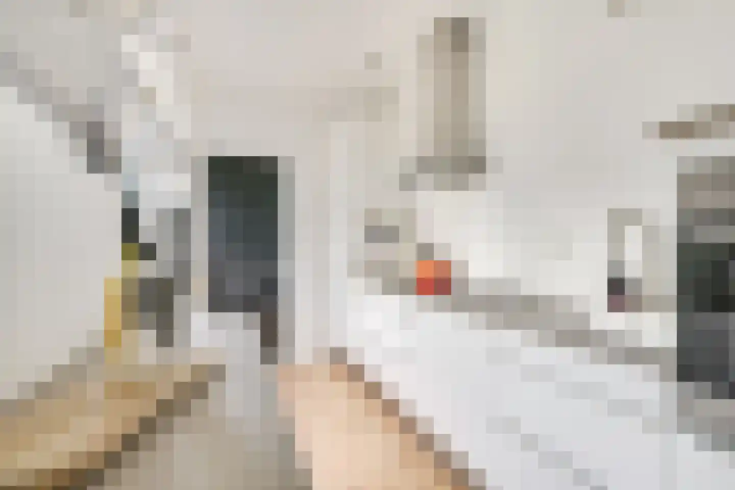 Cremerstraat 62 Utrecht thumbnail 21
